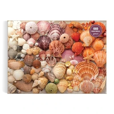 Image of Galison Vibrant Seashells 1000 Piece Puzzle Featuring Chromatic Seashell Arrangement On Sand