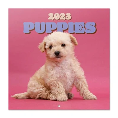 Image of Grupo Erik Official Dogs Wall Calendar 2023 12&quot; x FSC 12 Month Planner Square Family Dog + 4 Bonus Months (CP23002)