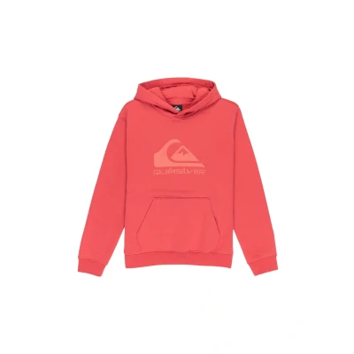Image of Quiksilver Fleece sweater COMP LOGO HOODIE KIDS Boy&#039;s Pink 16