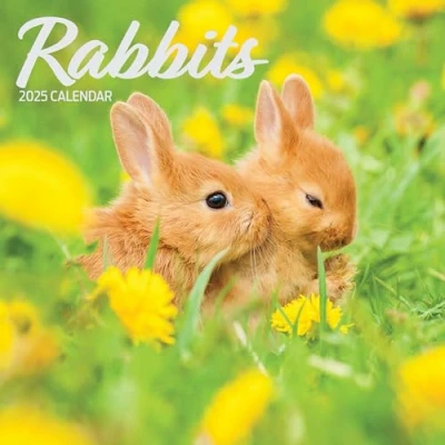 Image of Rabbits 2025 Traditional Calendar