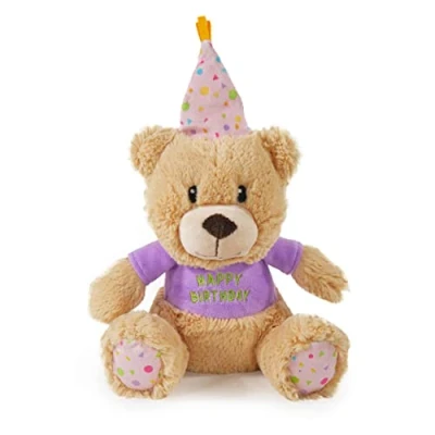 Image of Rosewood Chubblez Bonnie Birthday Bear Plush Dog Toy, Gift for Dogs