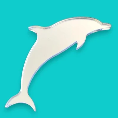 Image of Super Cool Creations Dolphin Mirror 40cm x 25cm Funky