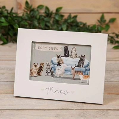 Image of Best of Breed MEOW CAT PHOTO FRAME GIFT