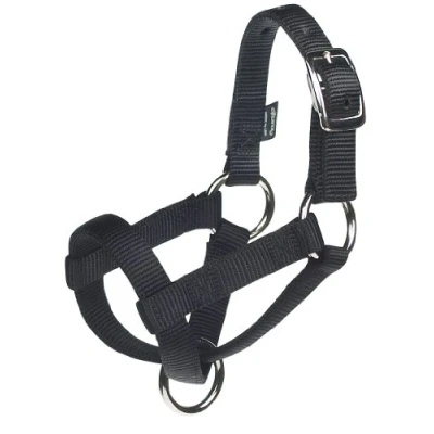 Image of Weaver Leather Livestock Goat Halter