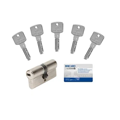 Image of Bricard Key Lock 15105 Cylinder A6, 30+30 Disengageable 5 Keys, Nickel Plated