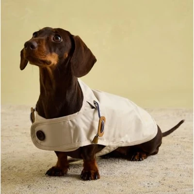 Image of Rosewood Joules Sandshell Raincoat for Dogs, Small, Washable, Lightweight, Rain/Water Resistant Dog Coat Small Dogs