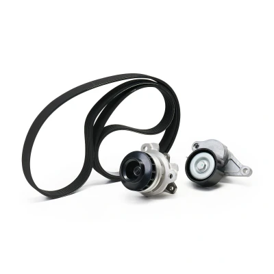 Image of 9091602490, 9091602635 Water Pump + V Ribbed Belt Kit SKF VKMC 36086 1 with gaskets/seals RENAULT: TRAFIC 2 Kasten