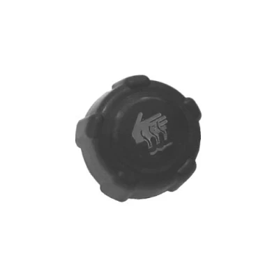 Image of Radiator Cap Fits: Renault &#039;96 on, Nissan Micra