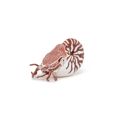 Image of Papo Hand painted Animal Figures Nautilus 56061 Marine Life Collectible for Children Suitable Boys and Girls From 3 years old