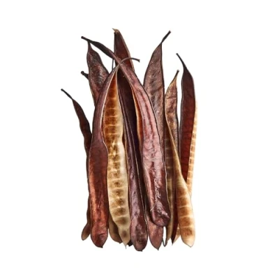Image of Swell Dried Ipil Tree Pods 10 Pack