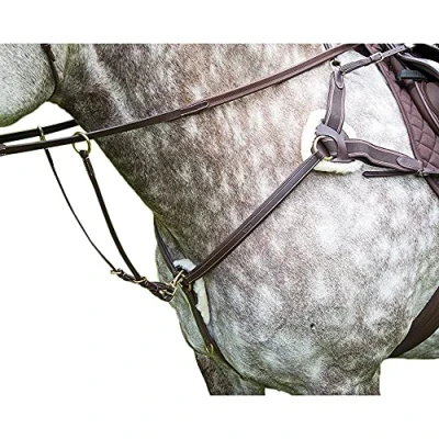Image of Shires Salisbury Five Point Breastplate: Havana: Full