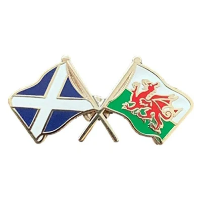 Image of Scotland &amp; Wales Flags Friendship Courtesy Enamel Lapel Pin Badge T1229