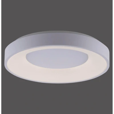 Image of Anika Flush Ceiling Light White 1x 26.5W LED 2700 5000K Dimmable