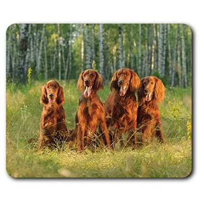 Image of Irish Red Setter Family Dog Mouse Mat Pad Computer PC Laptop Gaming Office Home Desk Accessory Gadget 3389