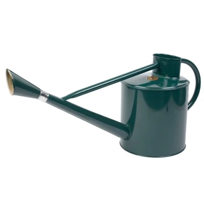 Image of Kent &amp; Stowe Long Reach Metal Water Can Green 9ltr