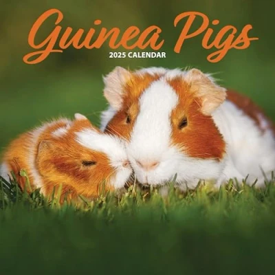 Image of Guinea Pig 2025 Traditional Calendar