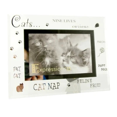 Image of Tudor Photo Moments Cat Frame, Glass/Mirror, 4 x 6