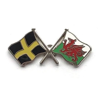 Image of Wales &amp; St Davids Flags Friendship Courtesy Enamel Lapel Pin Badge T936