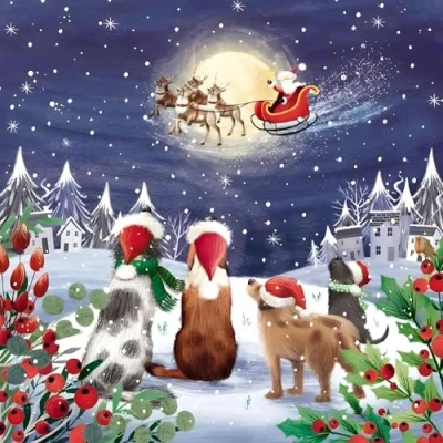 Image of GBCC Charity Christmas Cards Pack of 10 with Festive Dogs Design Eco Friendly Xmas Multipack Envelopes