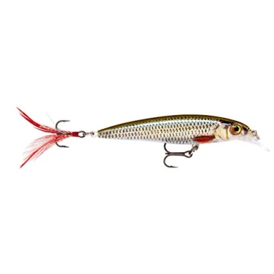 Image of Rapala X Rap 8cm Live Roach Hard lure