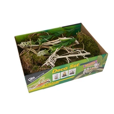 Image of Lucky Reptile Life Experience Deco Set for Small Nano Terrariums