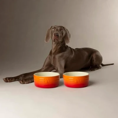Image of Scruffs Ombre 2pc Ceramic Dog Bowl Set Orange 19cm