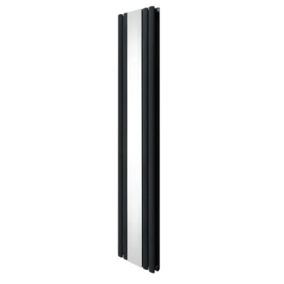 Image of Oval Panel Radiator With Mirror 1800mm x 380mm Modern Designer Double Column Vertical Heater Matt Anthracite Grey Carbon Steel Wall Mounted Kitchen Living Room Cleaning Brush Fixing Kit &amp; Brackets