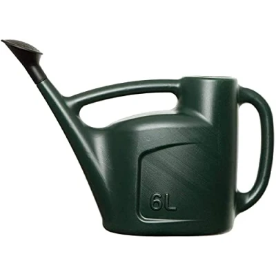 Image of 6L Watering Can In Green Lightweight For Garden Indoor &amp; Outdoor with Detachable Sprinkler Rose Head
