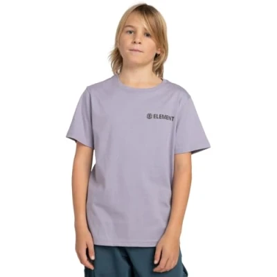 Image of Element Blazin T Shirt for Boys 8 16