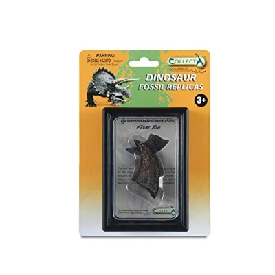 Image of CollectA First Toe of Tyrannosaurus Rex Box Set