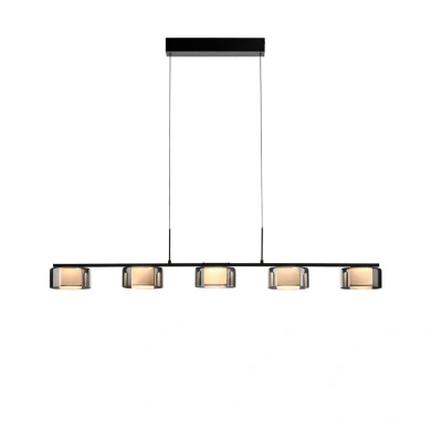 Image of Paul Neuhaus LED hanging light Rika, 119 cm, glass, dimmable