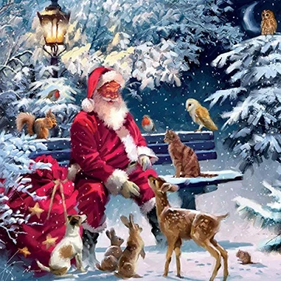 Image of Mini Charity Christmas Cards Santa Feeding Animals Gloss Finish Pack of 5