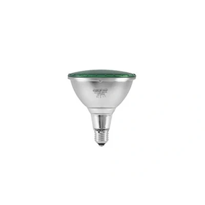 Image of OMNILUX PAR 38 230V SMD 15W E 27 LED Green Lamp
