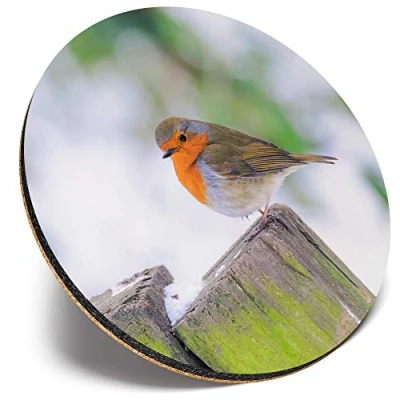 Image of Round Single Coaster Little Robin Redbreast Winter Glossy Quality Coasters Tabletop Protection for Any Table Type #45580