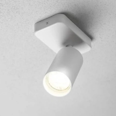 Image of CGC Lighting White Round Circular Surface Mount Spotlight Adjustable Ceiling Downlight Spot Down Light Lounge Living Room Kitchen Bedroom (White, Single)