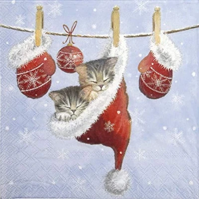 Image of Ambiente 3 Ply Paper Napkins Christmas Just Sleepy