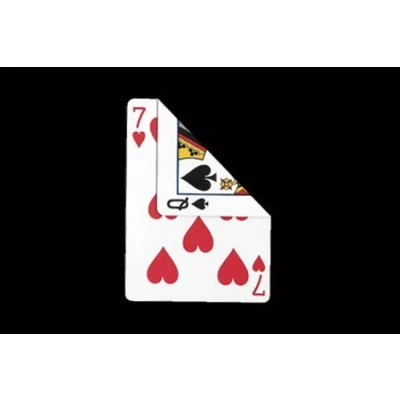 Image of Double Face Bicycle Cards (box color varies)