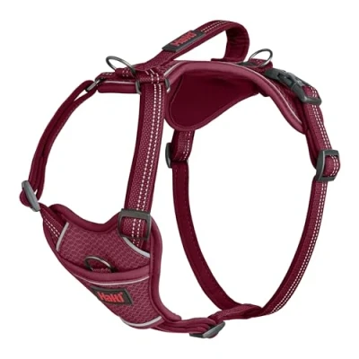 Image of HALTI Anatomy Dog Harness with Handle Provides Your Freedom of Movement for Comfortable Walking. 3 Lead Attachment Points, Neoprene Padded, Adjustable, and Reflective (Size X Small, Magenta)