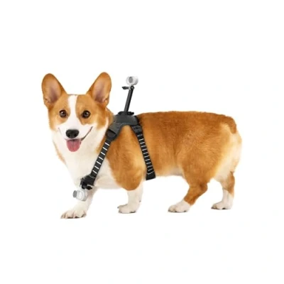 Image of Insta360 Pet Harness Mount Size S