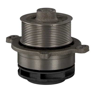 Image of DC468501AB, T203284, T230257 Water pump FEBI BILSTEIN 30681 Grey Cast Iron with belt pulley gaskets/seals Plastic
