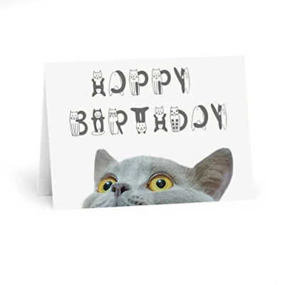 Image of Peekaboo Cat Happy Birthday Card British Grey with Whimsical Lettering, Ideal for Lovers and Pet Owners, Playful Wishes, Blank Inside