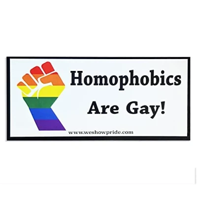 Image of Gay Pride Bumper Stickers Novelty Fun Car Large LGBT LGBTQIA Vinyl Decal Homophobics are