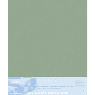 Image of Clairefontaine Ref 396019C Pastelmat Mounted Board (5 Sheets) 1800 Microns 70 x 100cm Dark Grey Colour Specially Formulated For Use With Pastels