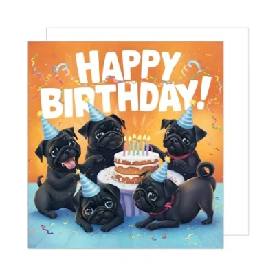 Image of Edition Seidel premium square Birthday Card with envelope. Happy Billet for Man Woman Child Dog Party Hat Cake Funny Humor (GQ315 SW024)