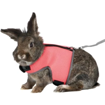 Image of Trixie Soft Harness With Leash For Small Animals, 1.20 Metre Colour Assorted