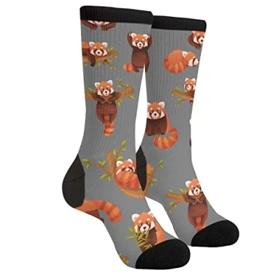 Image of XVBCDFG Red Panda Grey Socks Funny Novelty Crazy Crew Tube Socks, Men&#039;S Women&#039;S Casual Dress