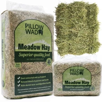 Image of STORM TRADING GROUP Fresh Meadow Hay For Small Animals Dried Grass Natural Feed Ideal Rabbit Food, Guinea Pigs &amp; Hedgehogs (1KG, 3 Bags)