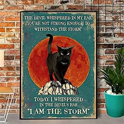 Image of Aoevc tin Cute sign Cat I Am The Storm Retro Metal Bar Pub Bathroom Bedroom Wall Decoration Novelty 6x8 inch