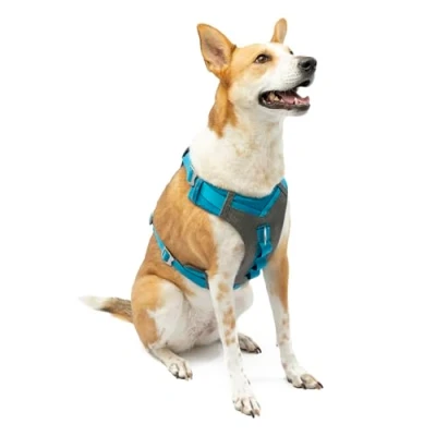 Image of Kurgo Journey Air Harness, Dog Harness for Running and Walking, Lightweight, Breathable, Extra Large Blue