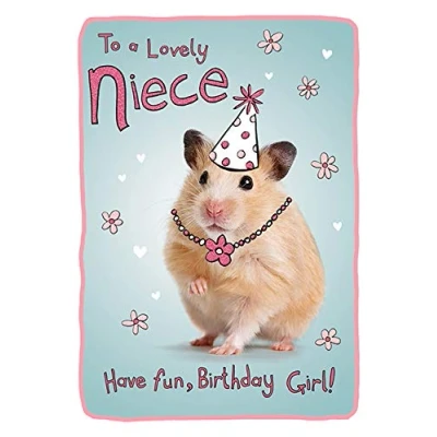 Image of Piccadilly Greetings Cute Birthday Card Niece 7 x 5 inches